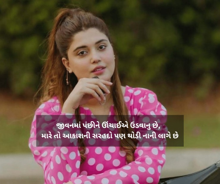 Powerful Attitude Shayari In Gujarati