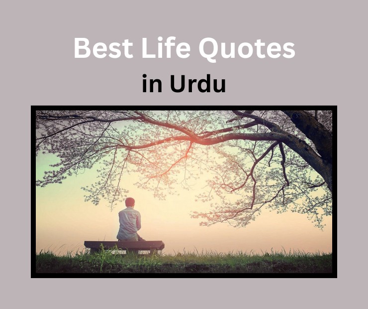 life quotes in Urdu