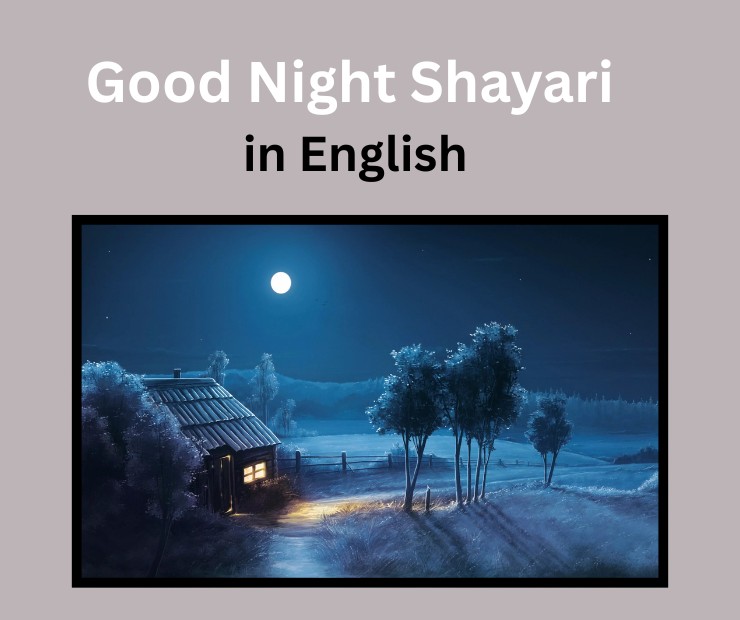Good Night Shayari